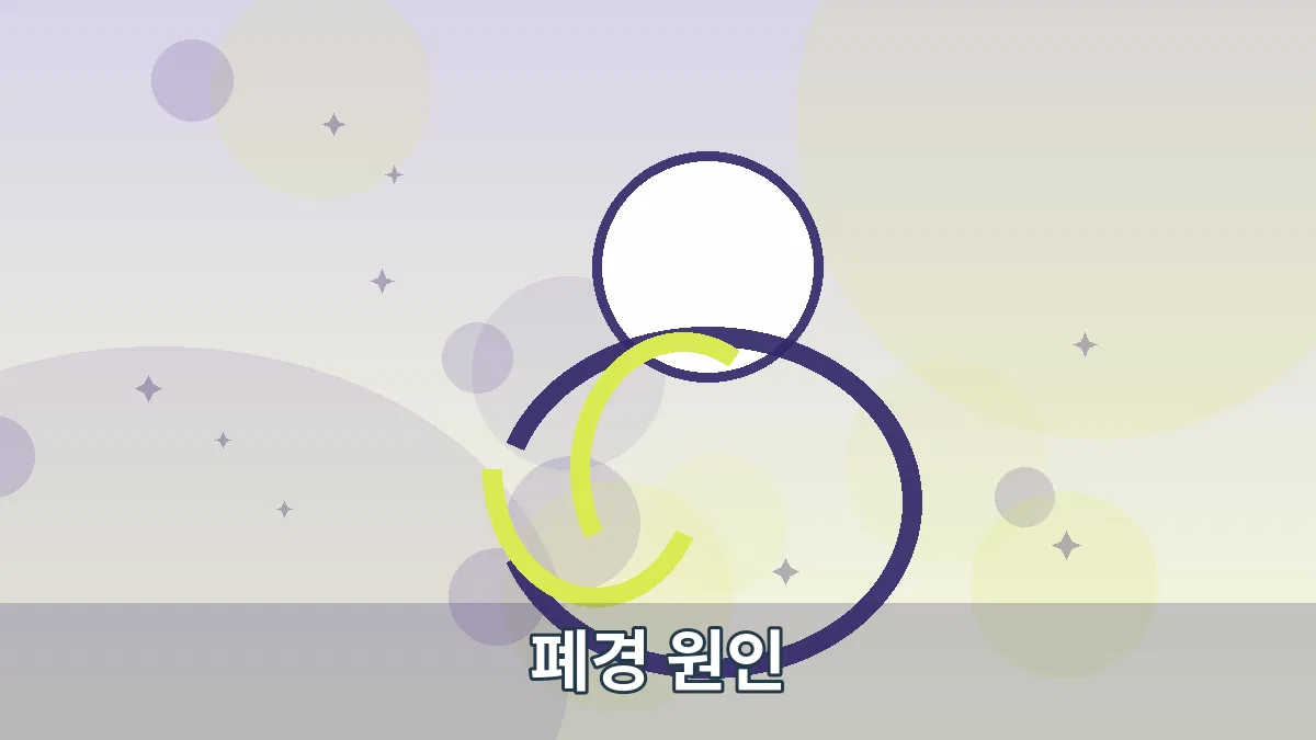 폐경 원인 안내 이미지 2