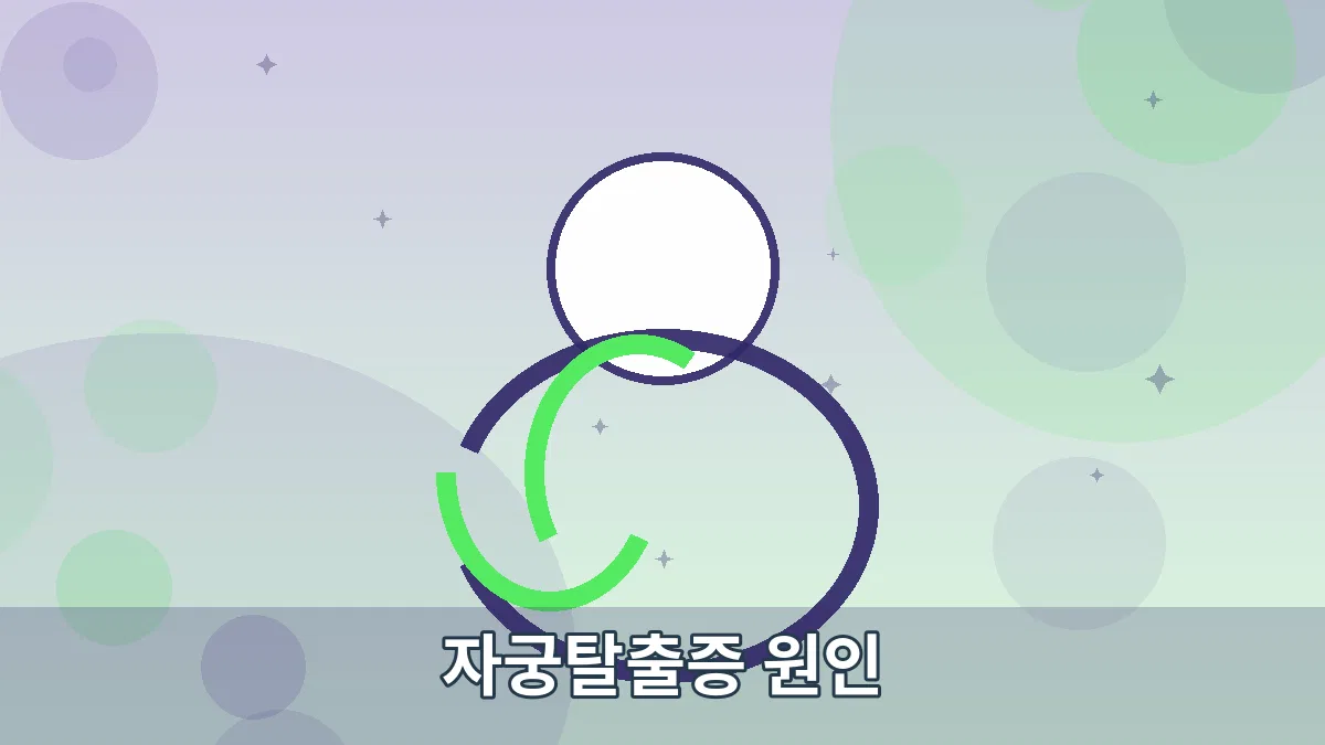 자궁탈출증 원인 안내 이미지 4