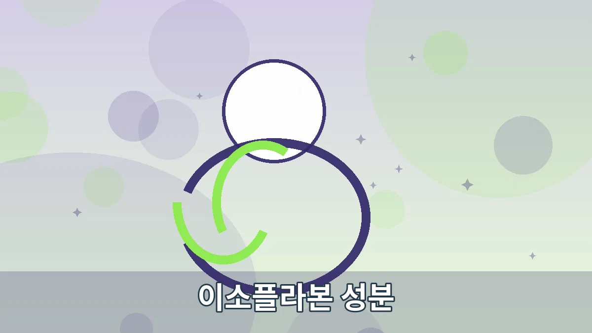 이소플라본 성분 안내 이미지 3